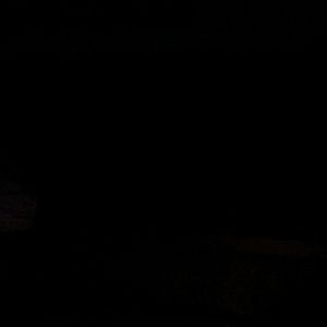 Meet your Posher, Wes